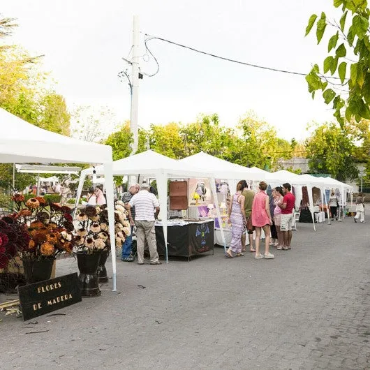 10' x 10' Outdoor Wedding Party Canopy Tent